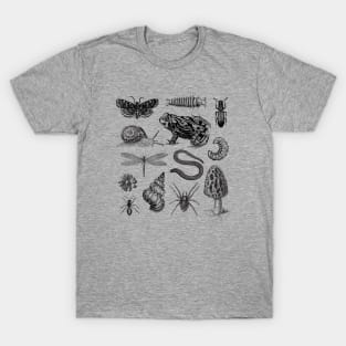 From Frogs and Snails to Moths and Mushrooms T-Shirt